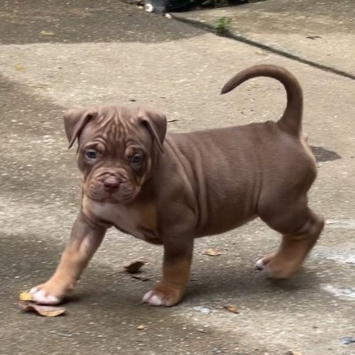 370265635_829772915290285_7312517354574695944_n