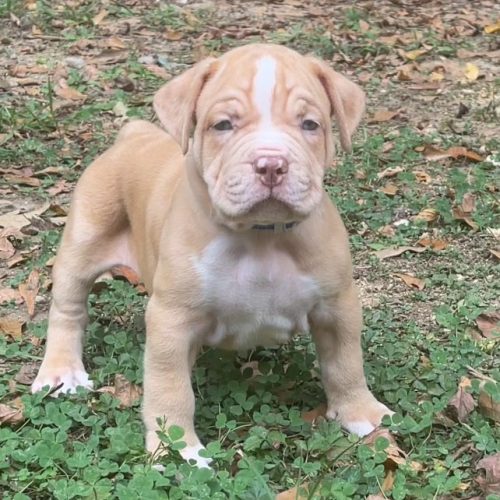 387483134_1360654781518643_3047114683793347982_n (1)