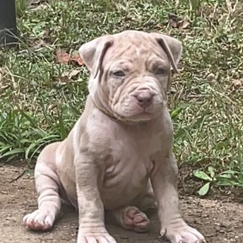 387594774_1523505491743515_907114474651600853_n (1)